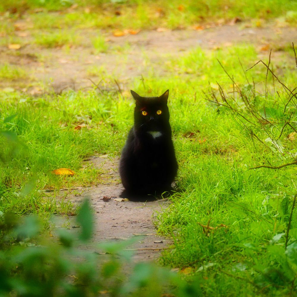 Photograph by Дмитрий Потапов