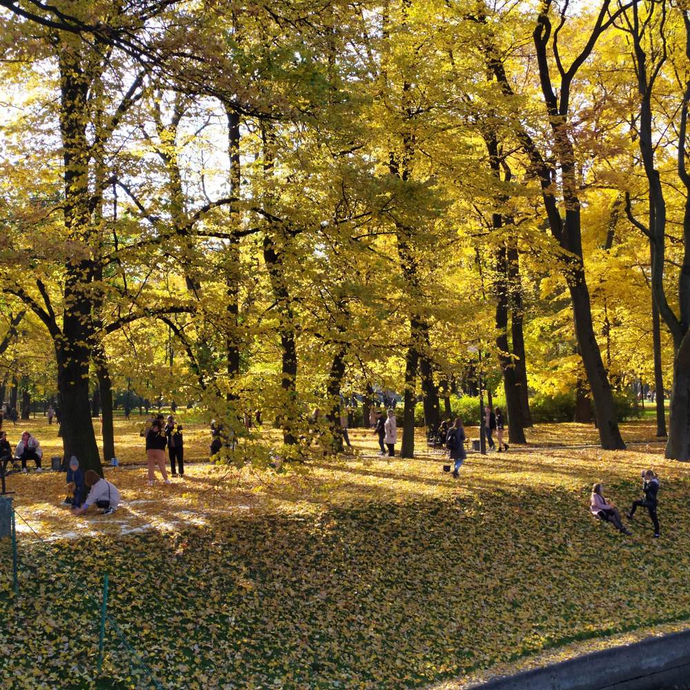 Photograph by Татьяна Клемба