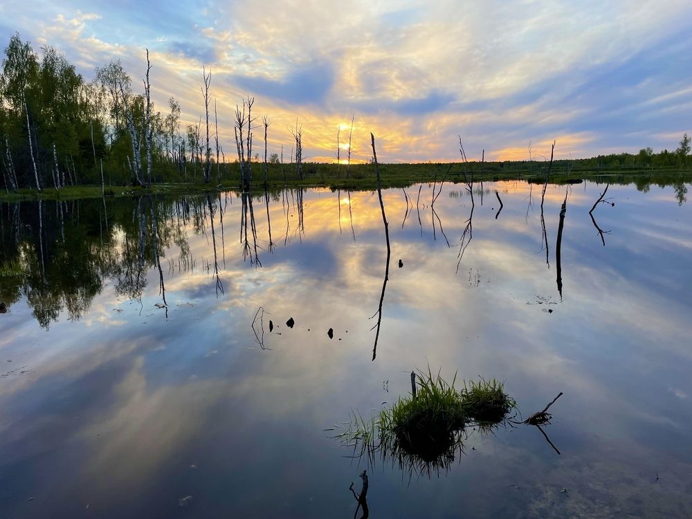 Photograph by Светлана Максимова