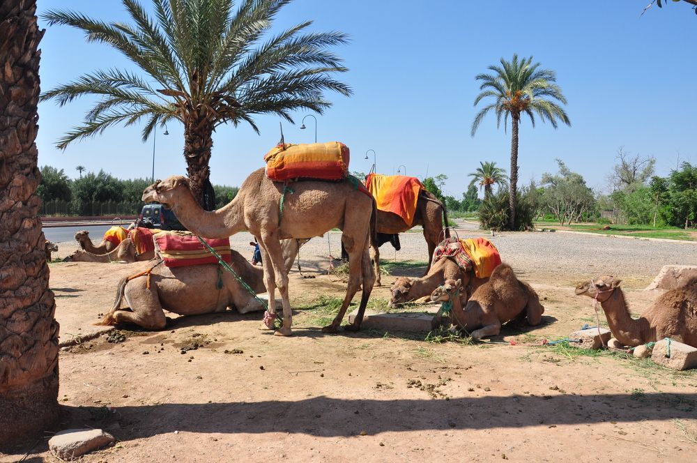 Photograph by Елена Никонова