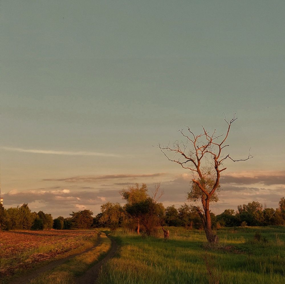 Photograph by Анна