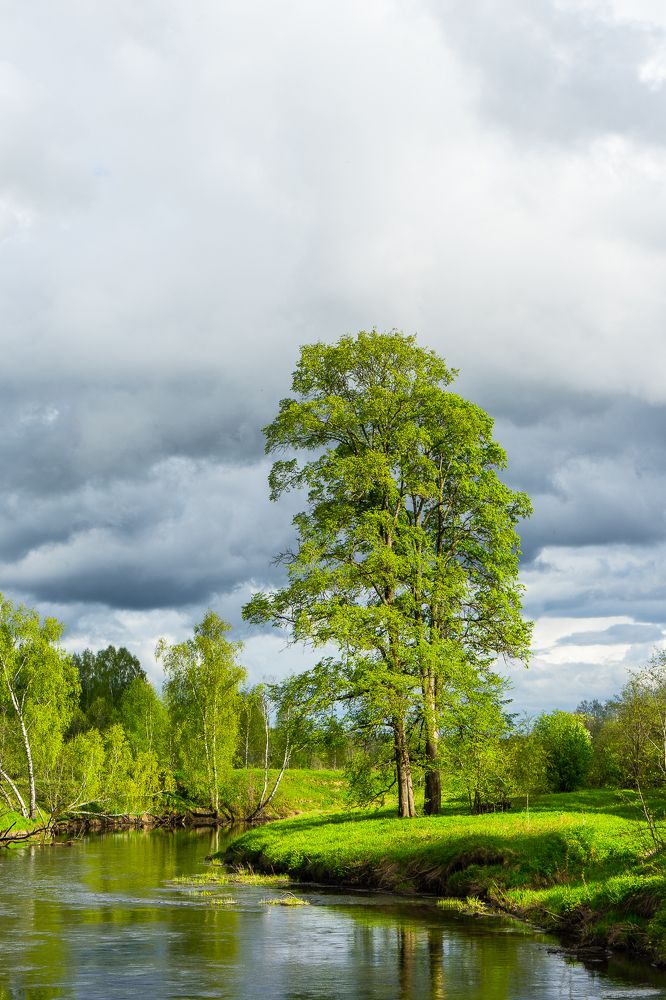 Вечерний свет