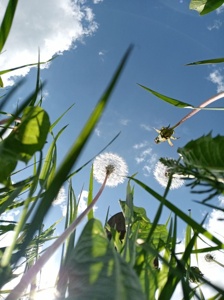 Фотография автора Татьяна Ротько