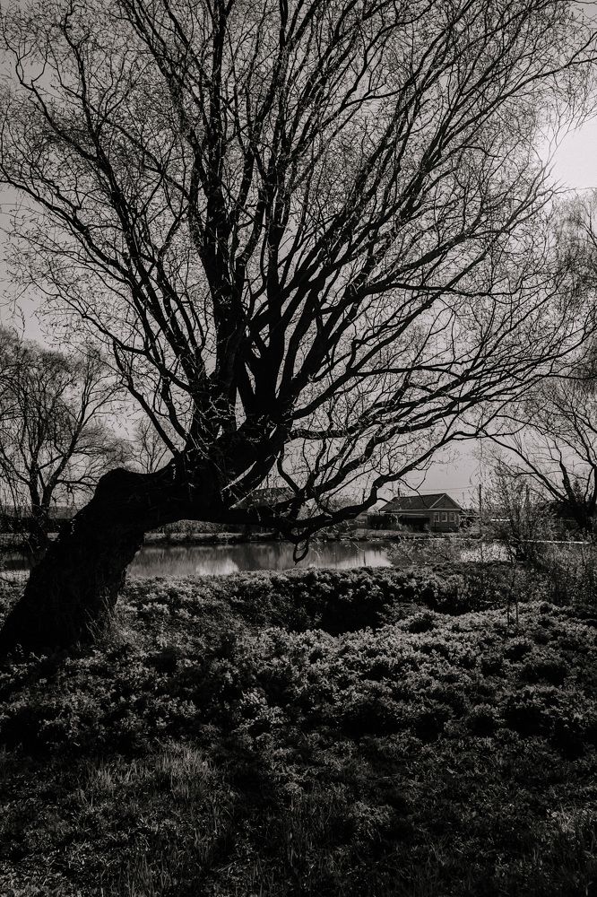 Photograph by Анастасия Якимова