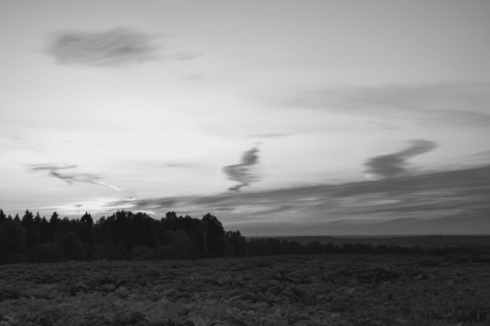 Фотография автора Екатерина Лапаева