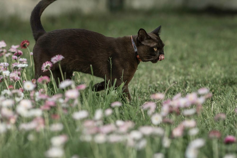 Photograph by Ольга Хентова