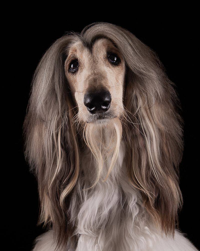 Photograph by Evgeniya Stafeeva