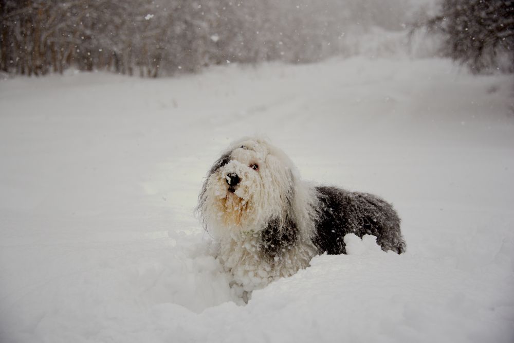 Фотография автора Lev Tishurov