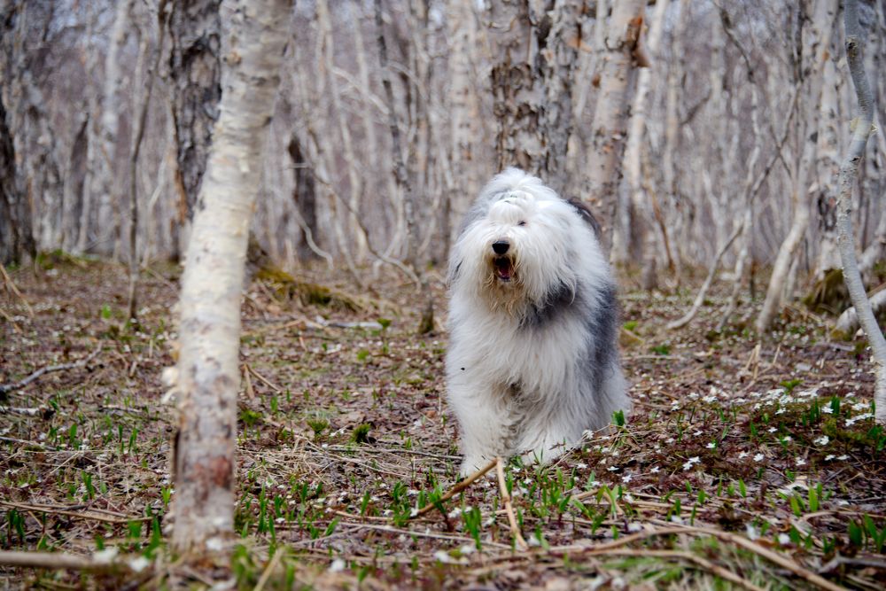 Фотография автора Lev Tishurov
