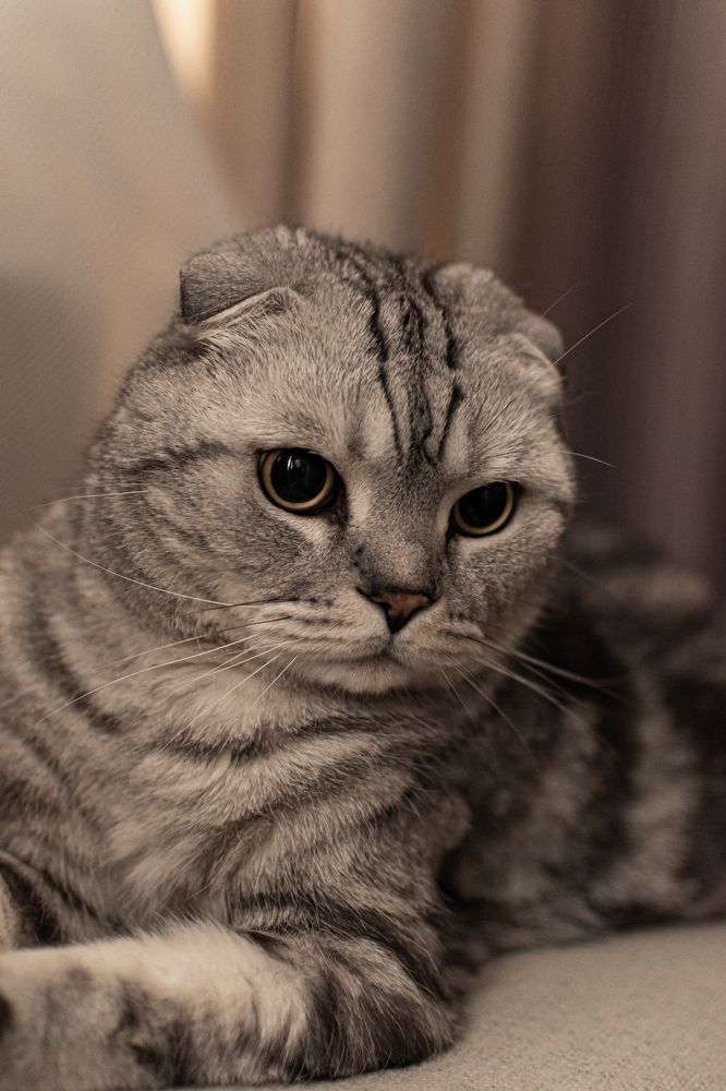 Photograph by Марина Брик