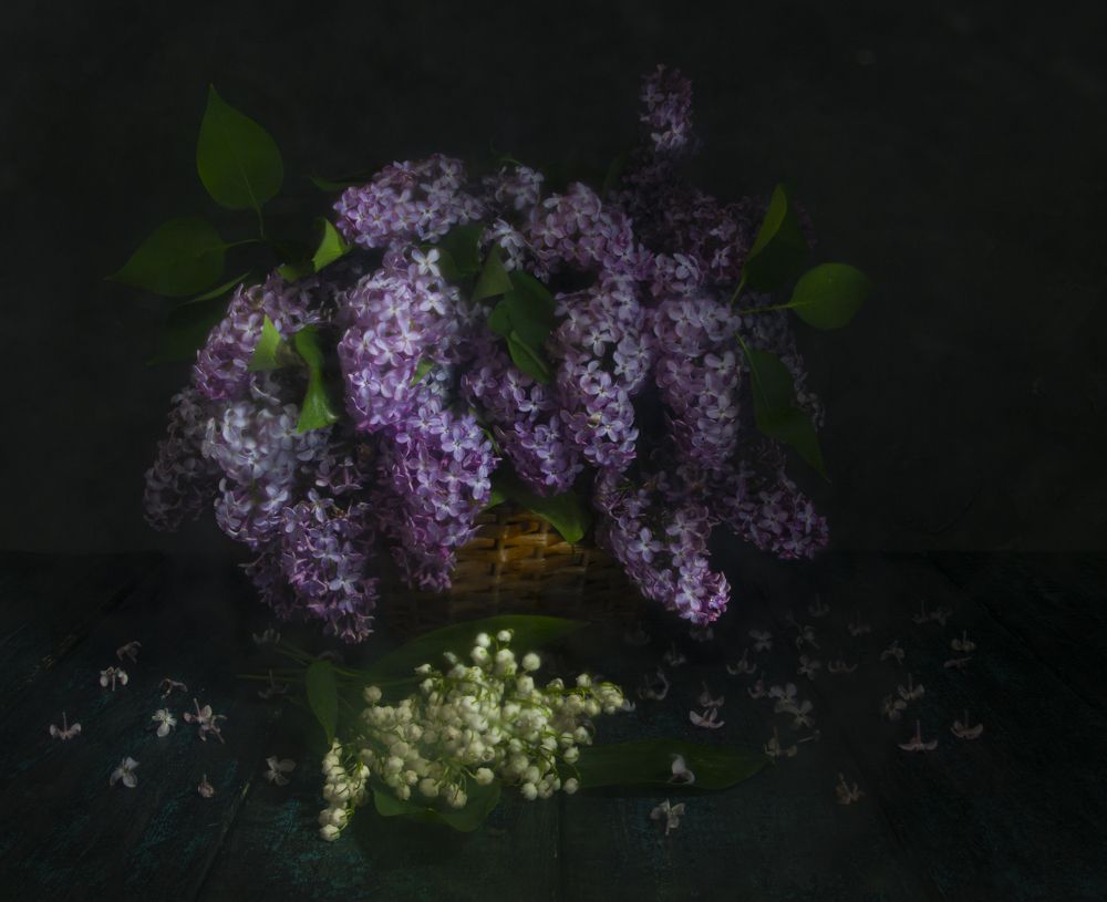 Photograph by Игорь Смирнов