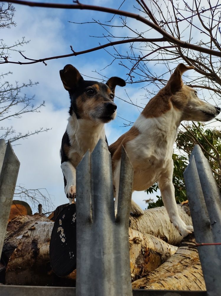 Photograph by Раиса Ламли