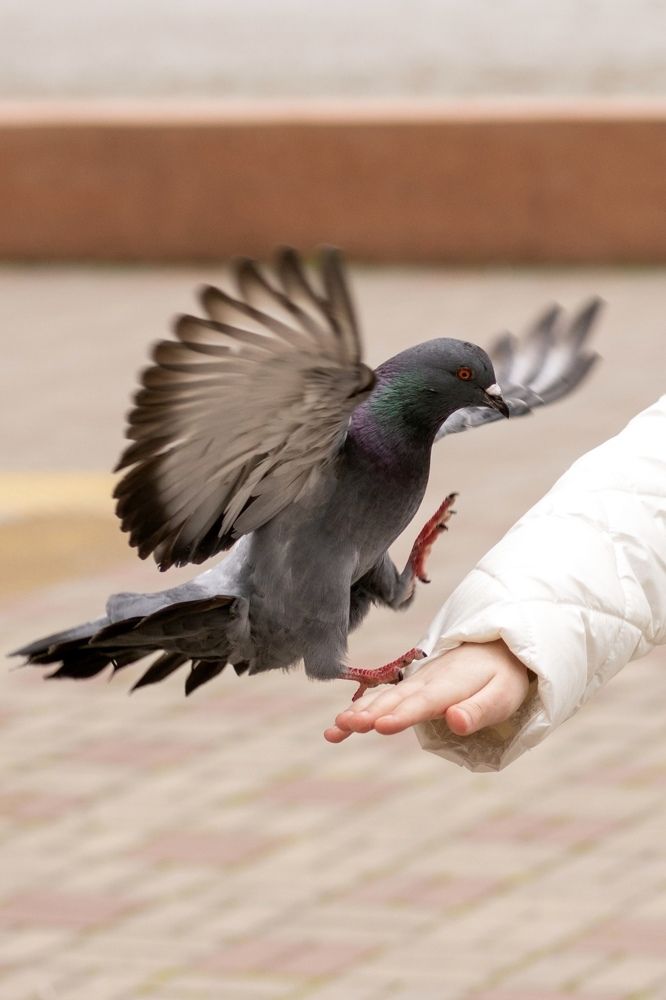 Photograph by Ольга Хентова