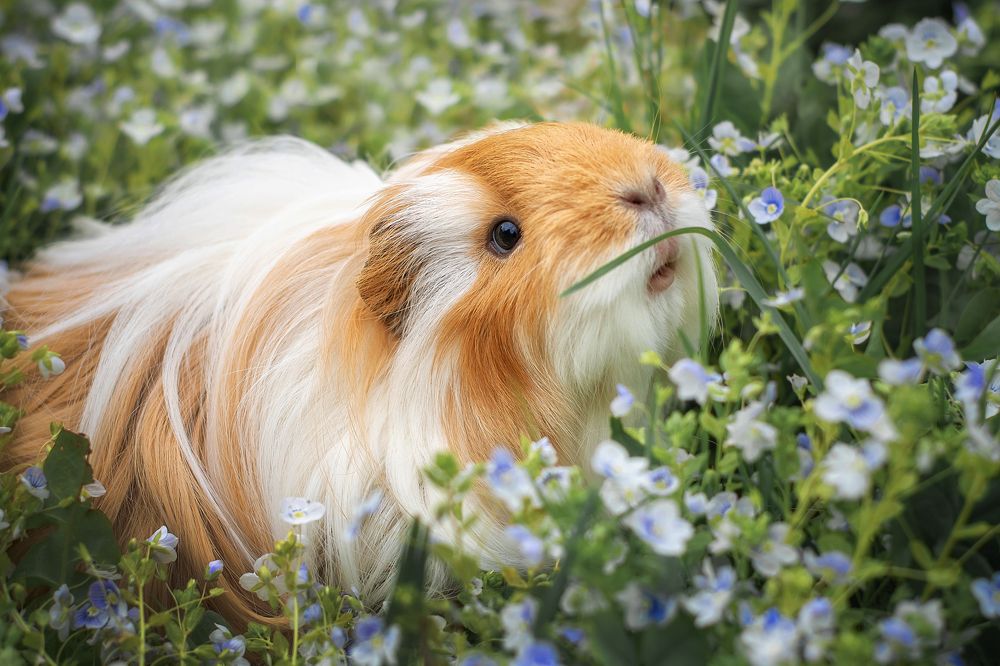 Photograph by Екатерина Лебедева