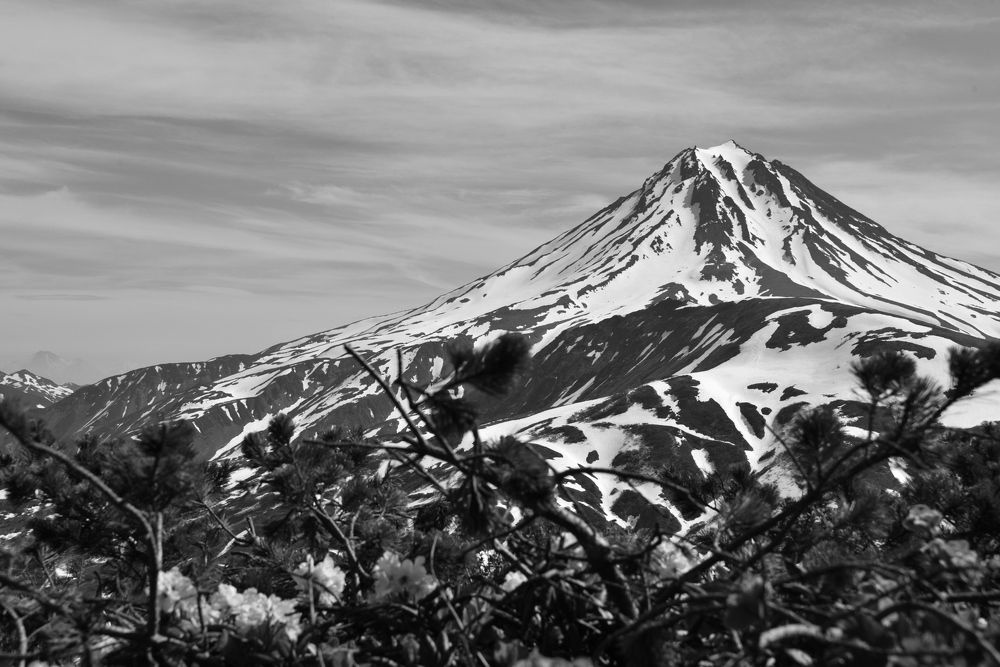 Фотография автора Lev Tishurov