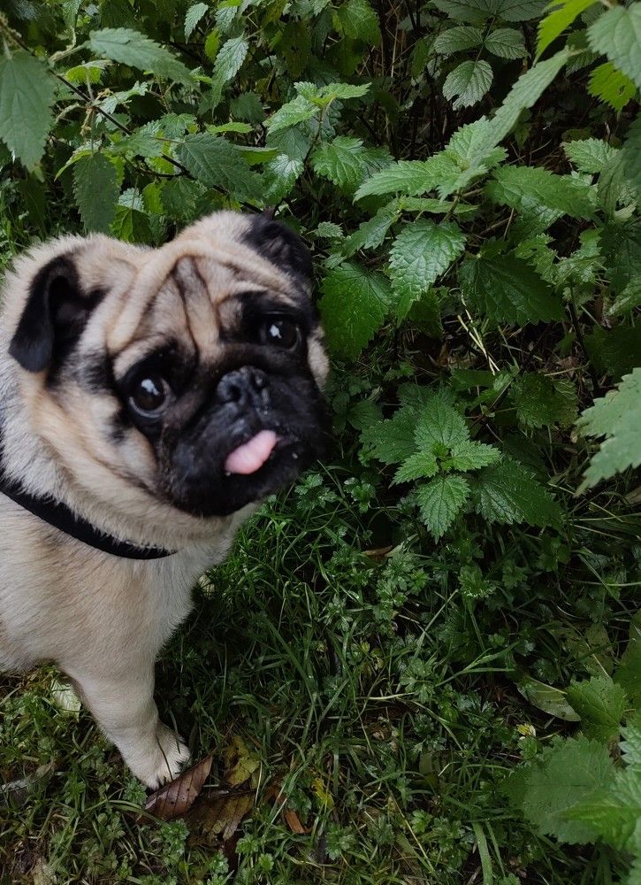 Photograph by Раиса Ламли