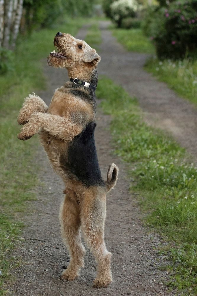 Photograph by Ольга Хентова