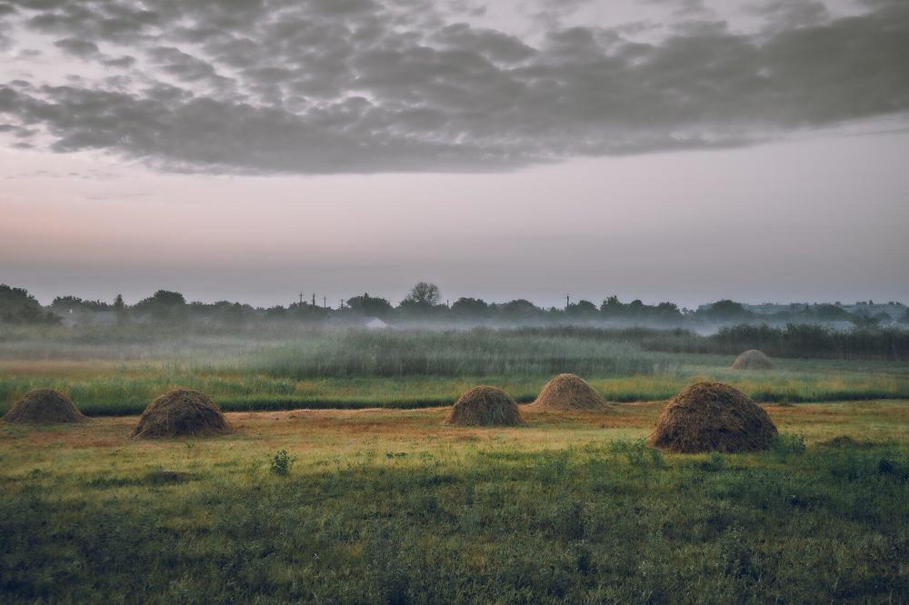 Фотография автора Олег Сухенко