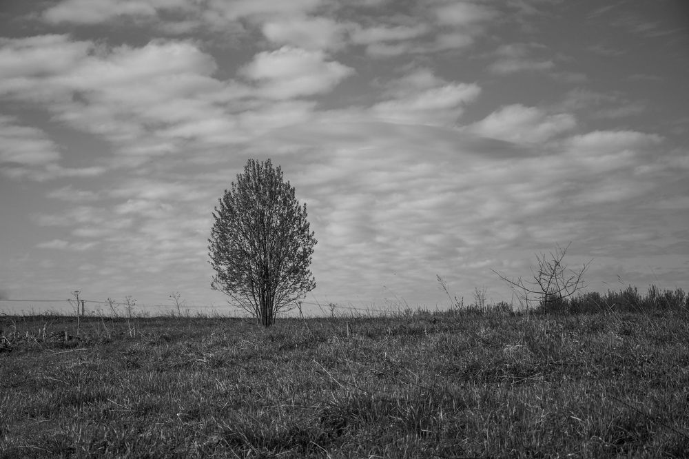 Фотография автора Альбина Хвастунова