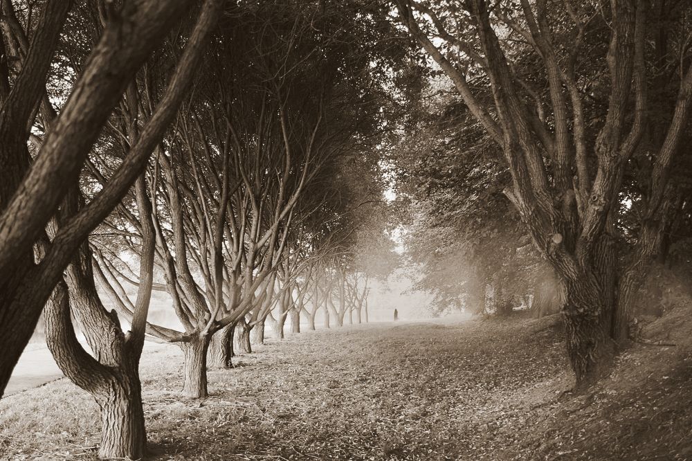 Photograph by Ирина Заборовская