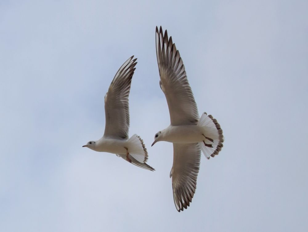 Фотография автора Альбина Хвастунова