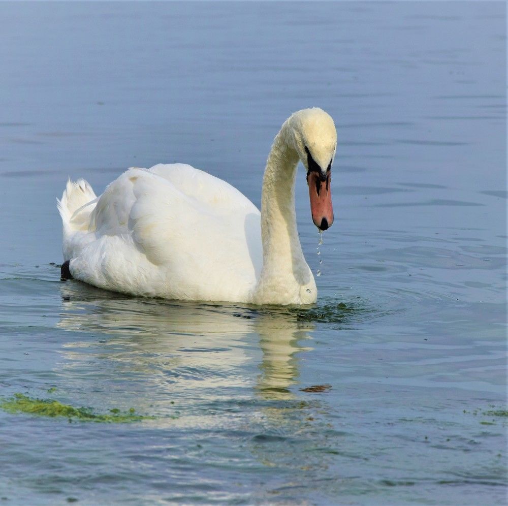 Фотография автора Альбина Хвастунова