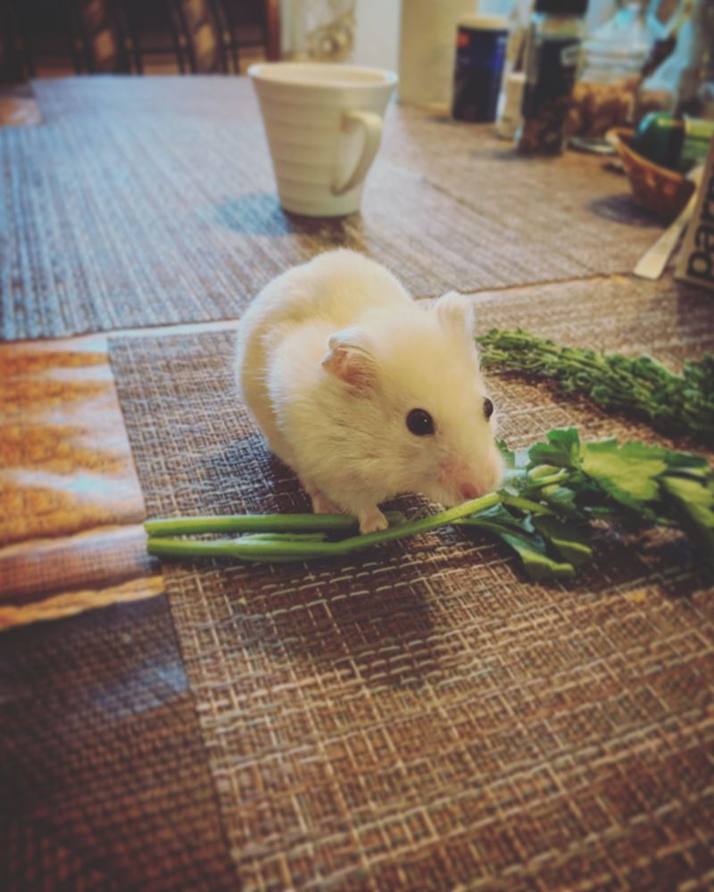 Photograph by Екатерина Алимова
