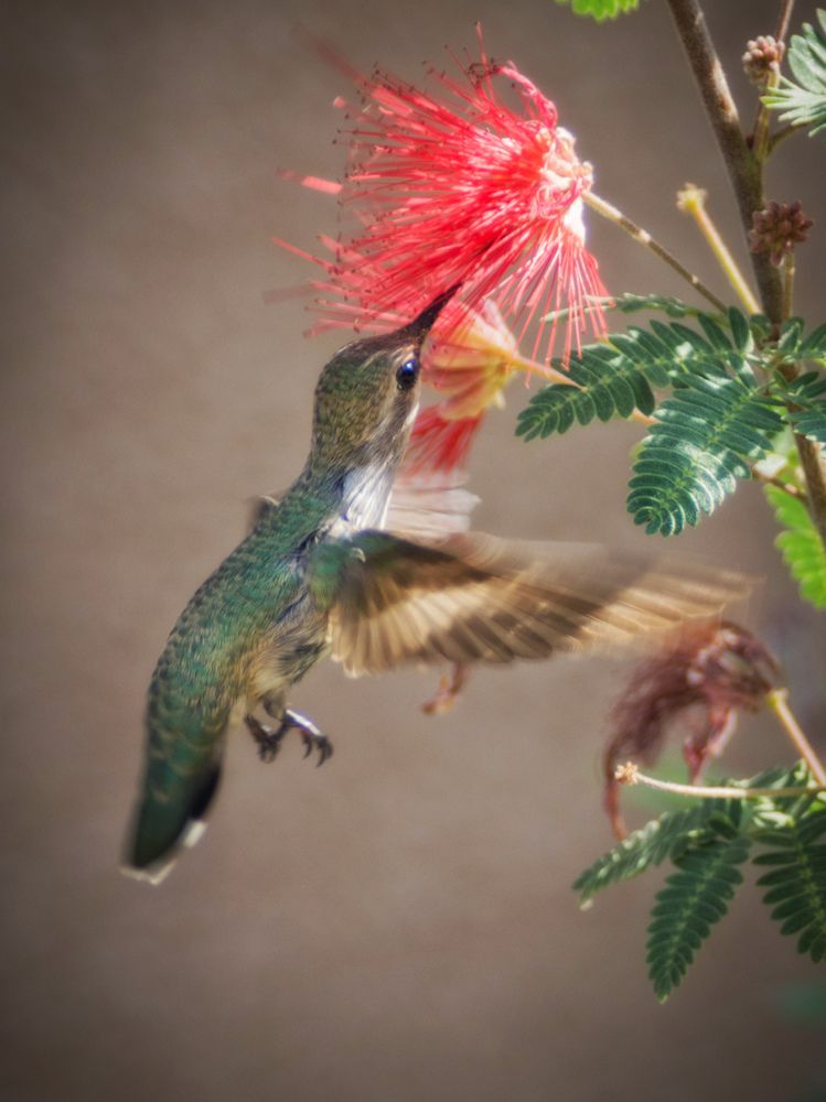 Photograph by Oleg Okselenko