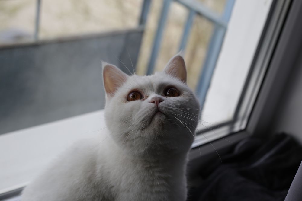 Photograph by Василий Леший