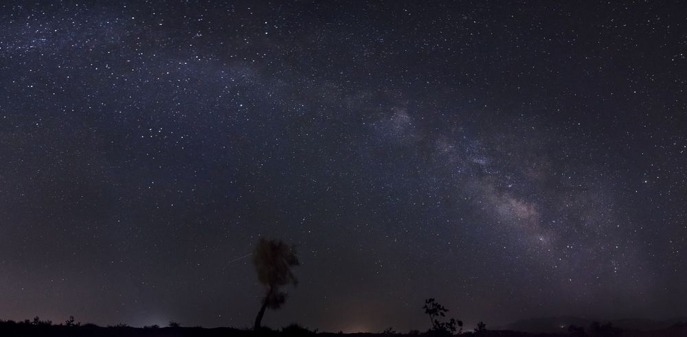 Фотография автора Morteza Sadeghi