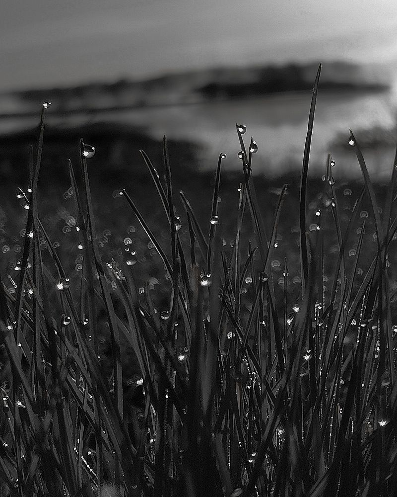 Photograph by Юрий Хортов