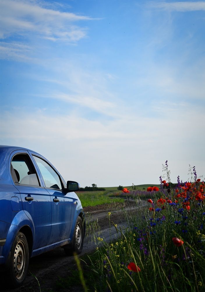 Photograph by Екатерина Гордеева