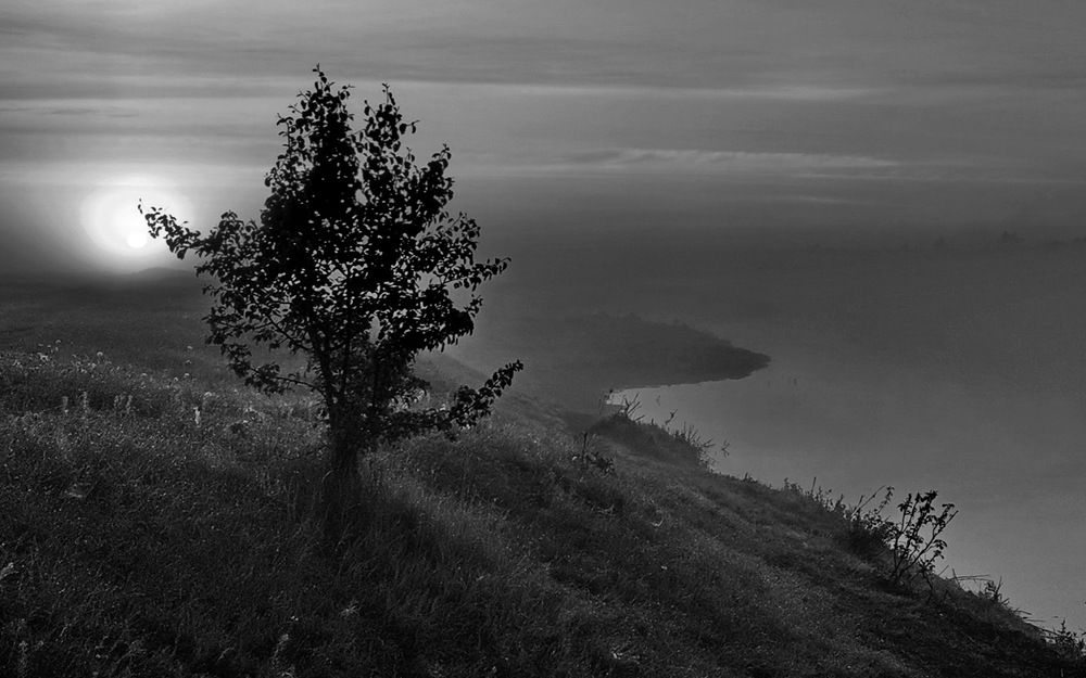 Photograph by Юрий Хортов