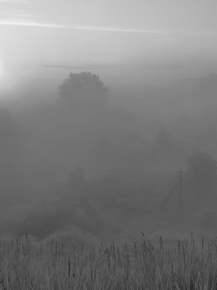 Photograph by Юрий Хортов