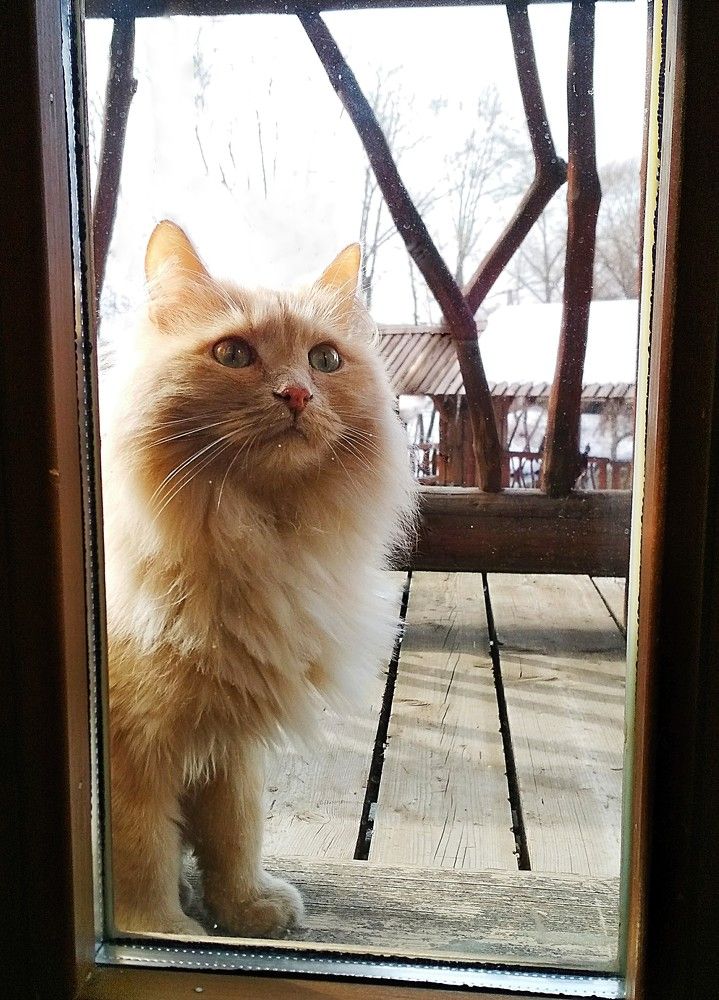 Доброе утро!