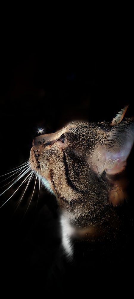 Photograph by Нина Иоселиани