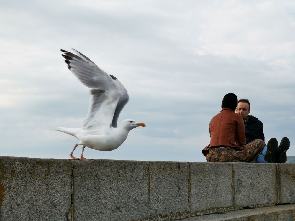 Photograph by Liviu Dumitru