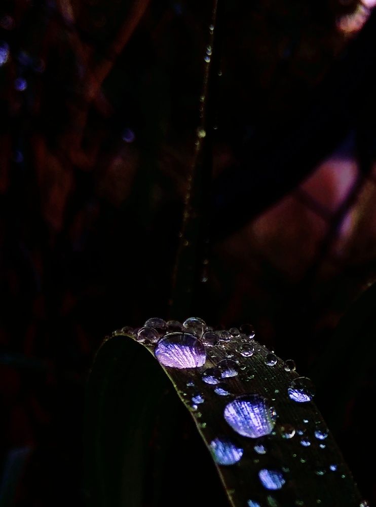 Photograph by Мария Голубева