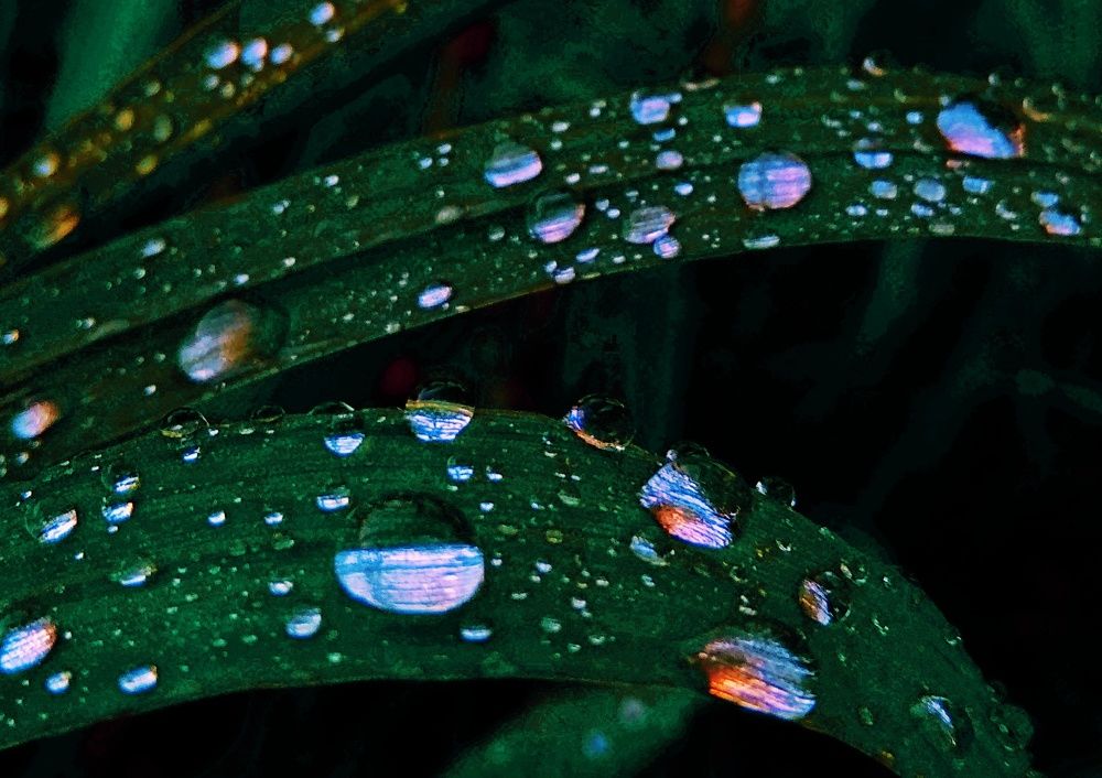 Photograph by Мария Голубева