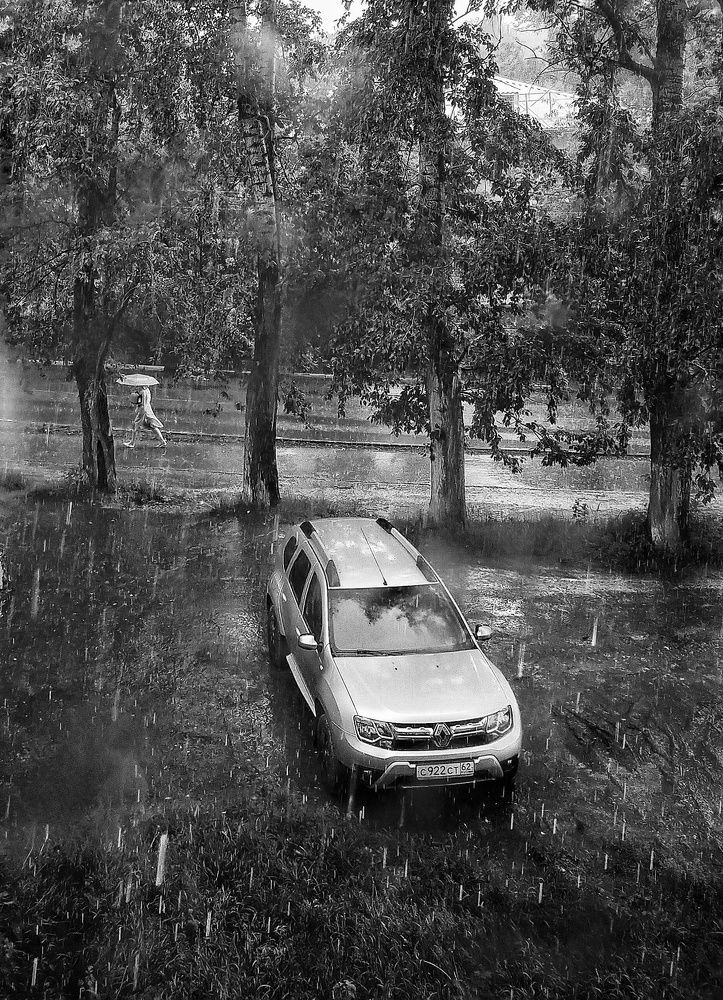 Photo #7664792