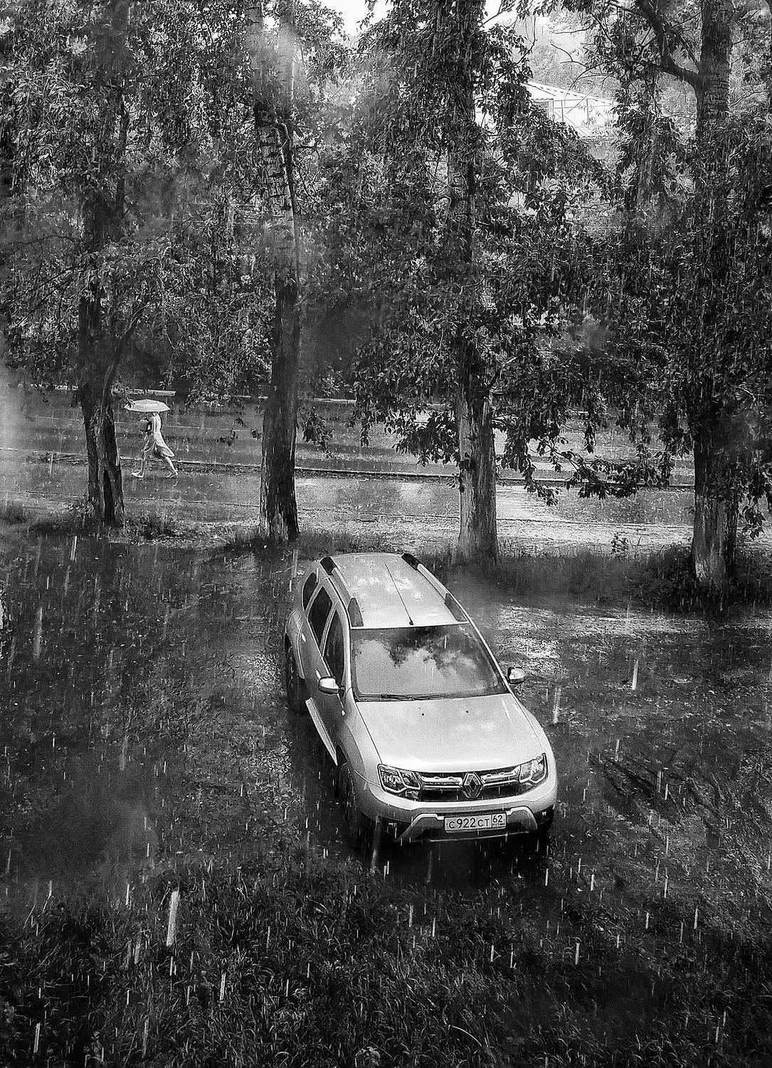 Photo #7664792