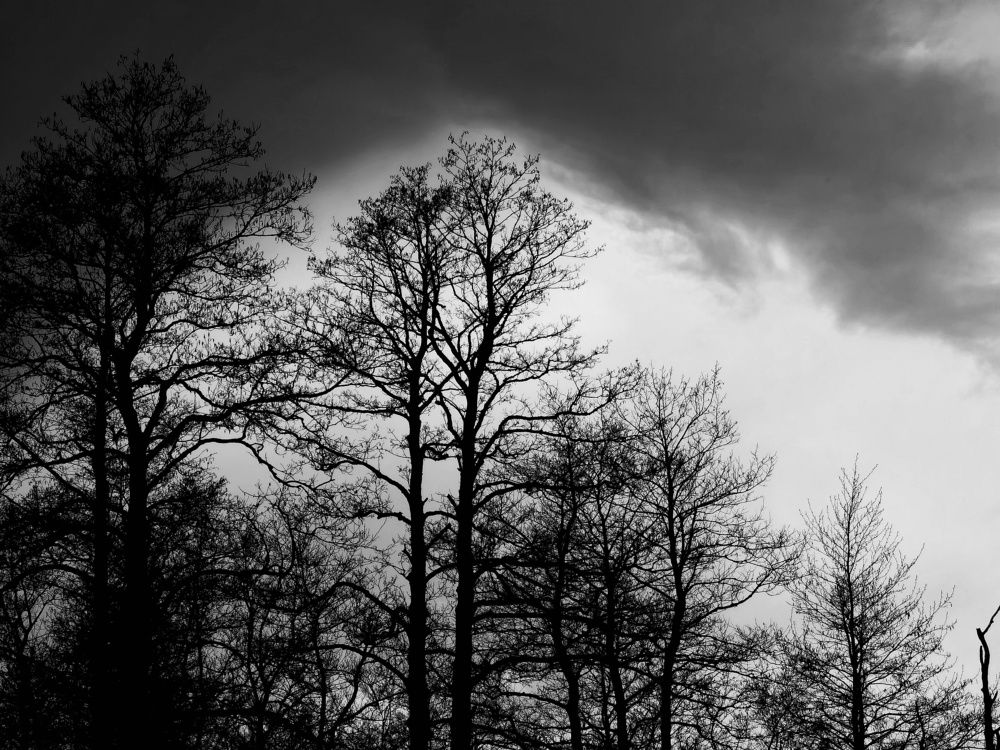 Photograph by Ольга