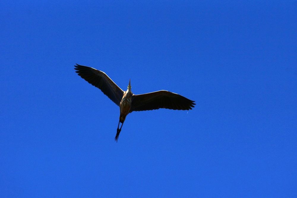 Photograph by АНДРЕЙ Роев