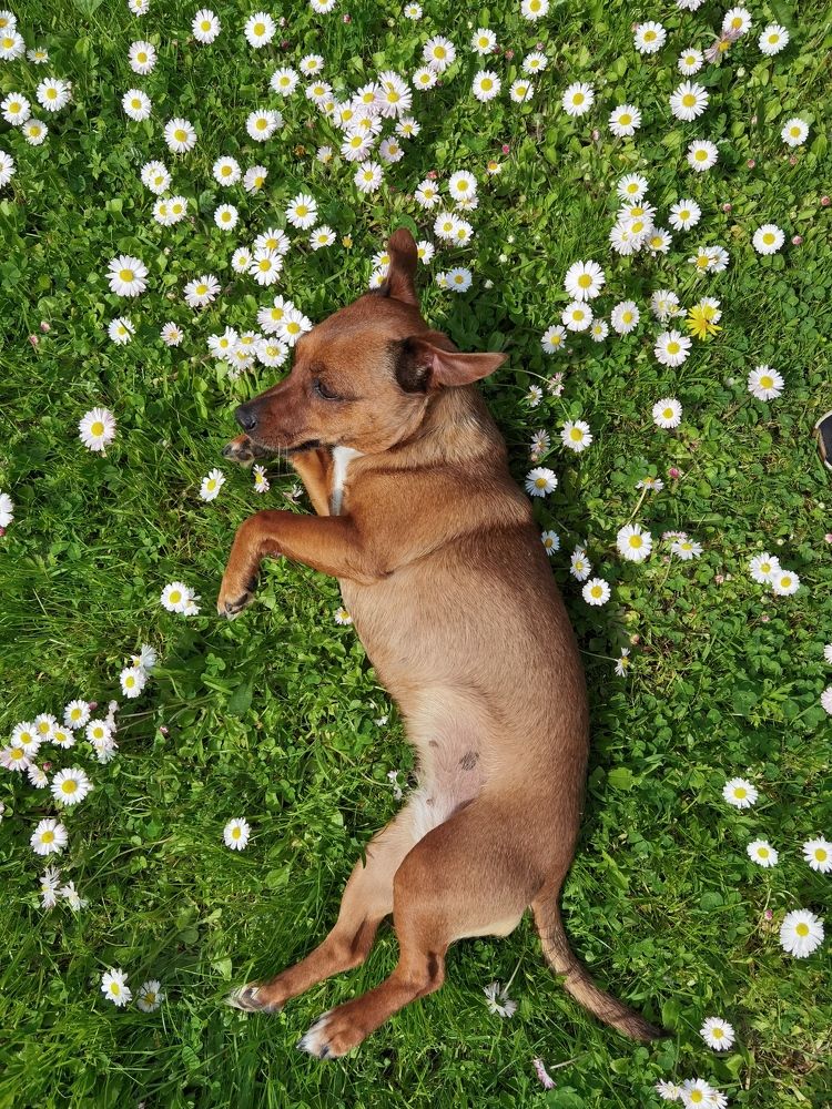 Photograph by Ольга