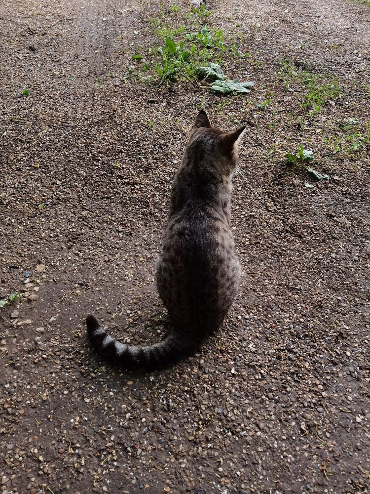 Photograph by Ольга