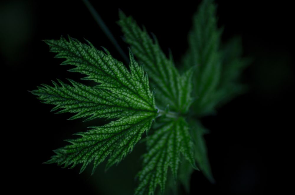 Photograph by Сергей Григоров