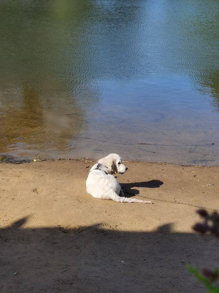 Photograph by Ольга