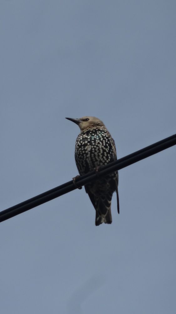 Photograph by Ольга