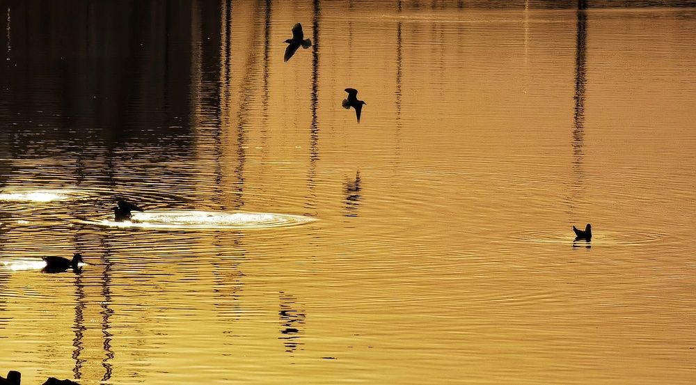 Photograph by Ольга