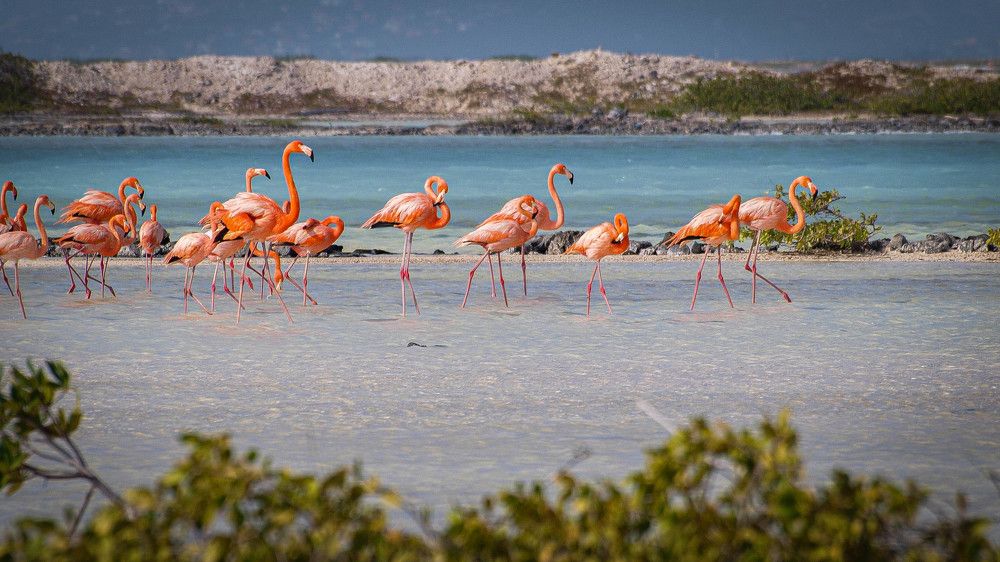 Photograph by Таймураз Гумеров